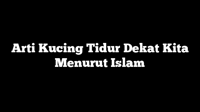 Arti Kucing Tidur Dekat Kita Menurut Islam
